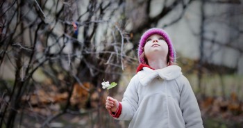 Wat je moet weten over de overlijdensrisicoverzekering