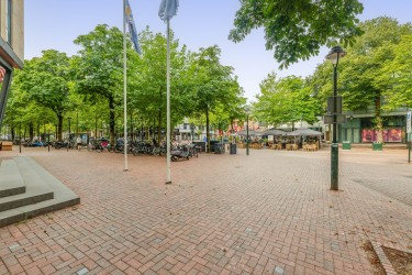 In het centrum!
