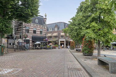 Tuin