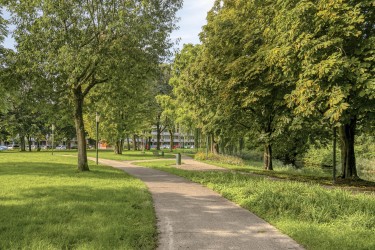 Extra foto's