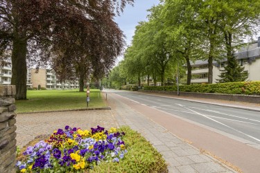 Extra foto's