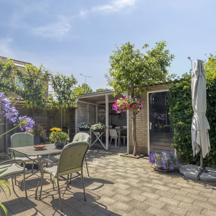 Zonnige tuin