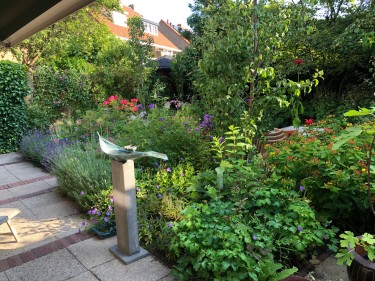 Tuin