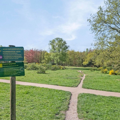 Natuur en stad nabij