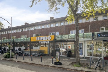 Omgeving