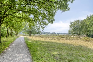 Omgeving