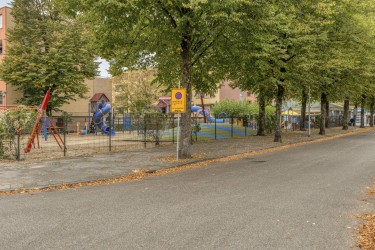 Omgeving