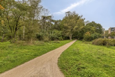 Omgeving