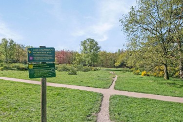 Dichtbij natuur