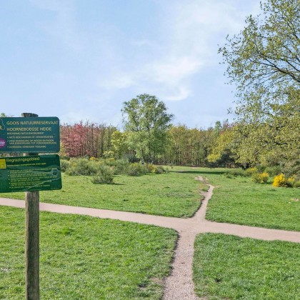 Dichtbij natuur