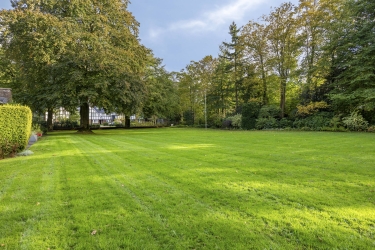 Tuin