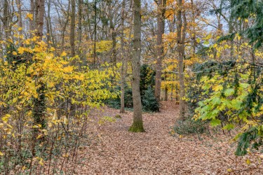 Omgeving