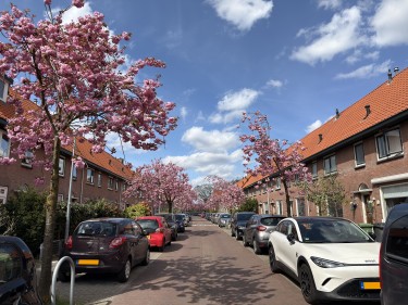 Extra foto's