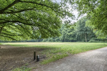 Extra foto's