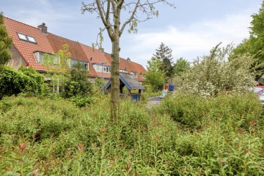 Extra foto's