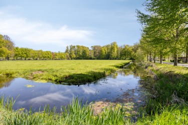 Omgeving