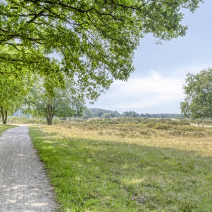 Hilversum-Zuid