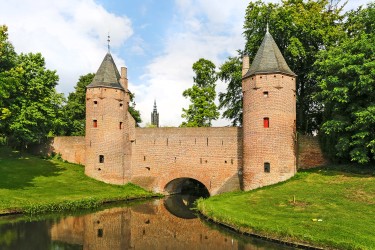 Tuin