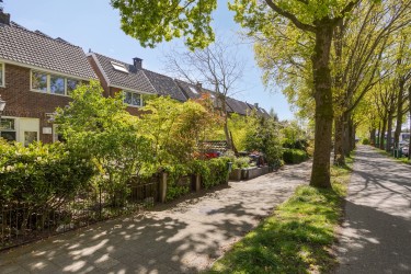 Extra foto's